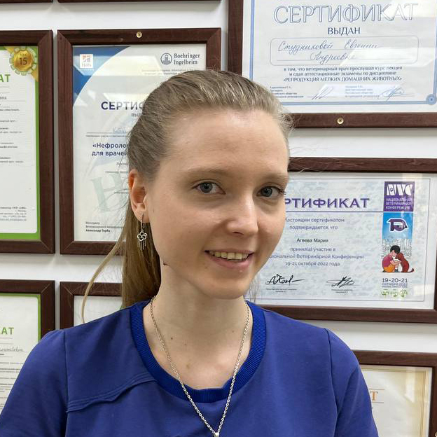 Ветренникова Ярослава Дмитриевна