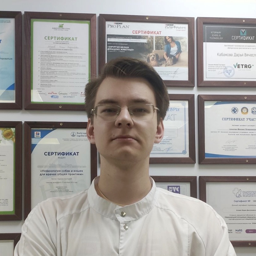 Згуровский Семён Андреевич